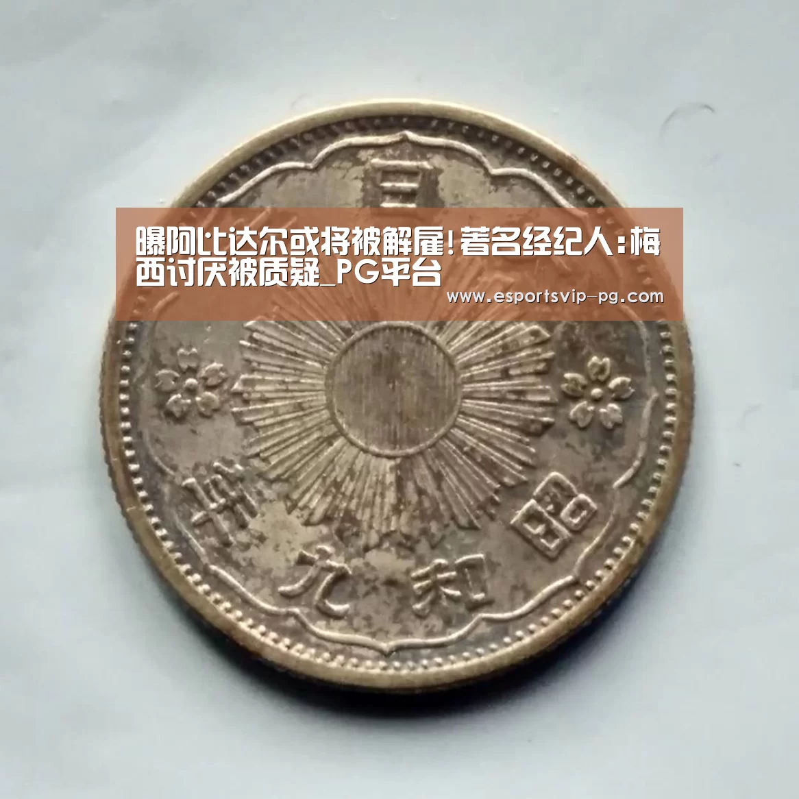 PG视讯